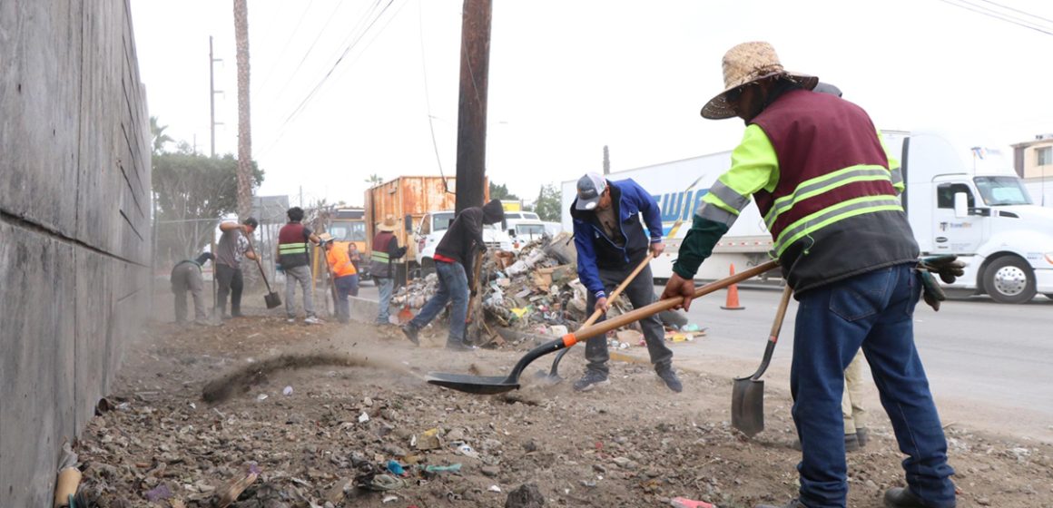 Transforma Gobierno Municipal con ‘Tijuana: Ciudad Limpia’ entornos en colonias de tres delegaciones
