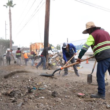 xvcds Transforma Gobierno Municipal con ‘Tijuana: Ciudad Limpia’ entornos en colonias de tres delegaciones