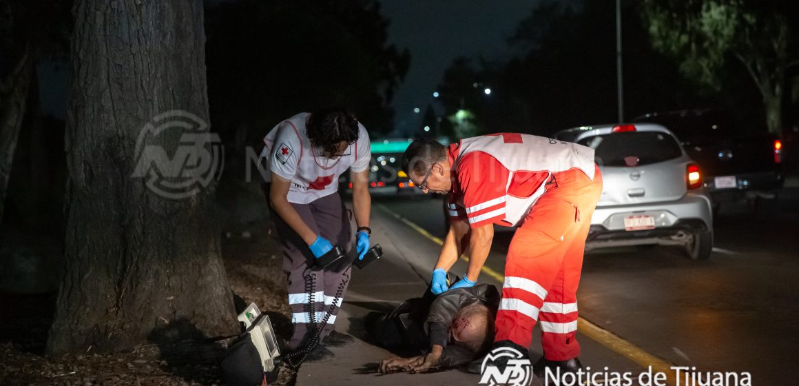 Hombre sin hogar y su compañero canino mueren atropellados