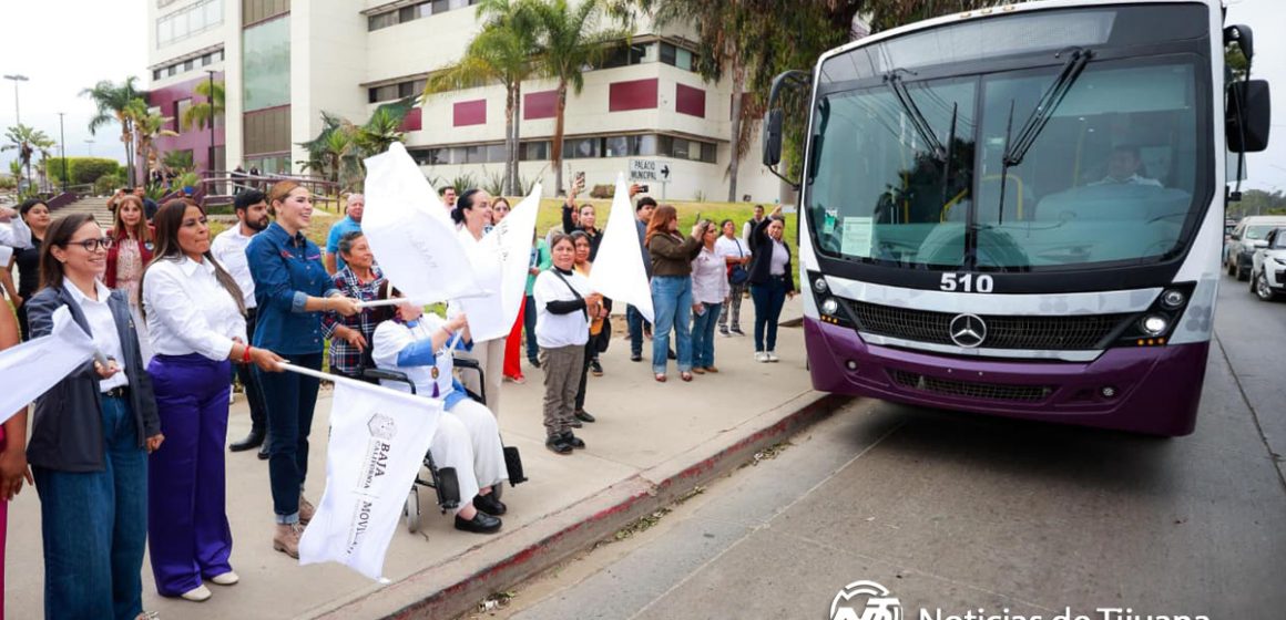 Transporte Violeta rompe récord en Baja California