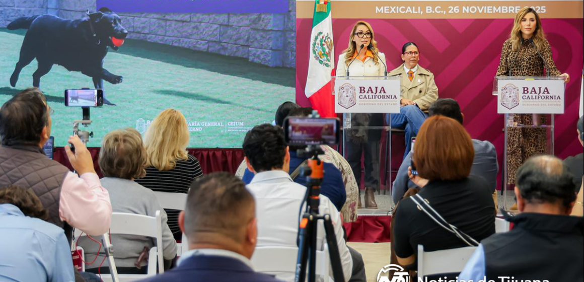 Gobernadora reafirma compromiso con la protección de las mujeres en BC