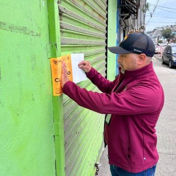 bc Rescata Gobierno Municipal a dos caninos que intentaban ser comercializados