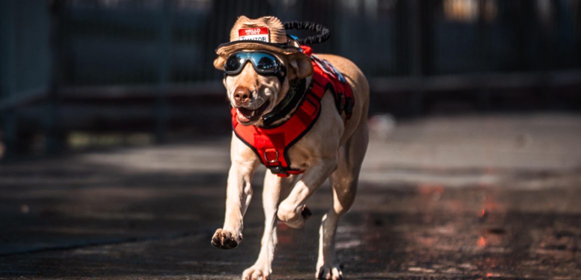 Preside Ismael Burgueño acto cívico y desfile por el 115 Aniversario de la Revolución Mexicana