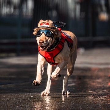 xc Preside Ismael Burgueño acto cívico y desfile por el 115 Aniversario de la Revolución Mexicana