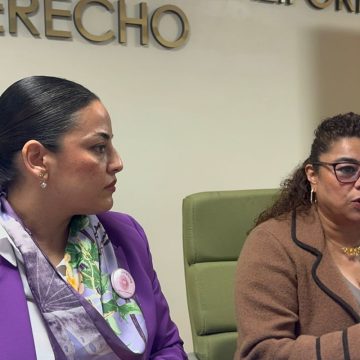 xzs Instituciones siguen sin llamar las cosas por su nombre en casos de violencia vicaria