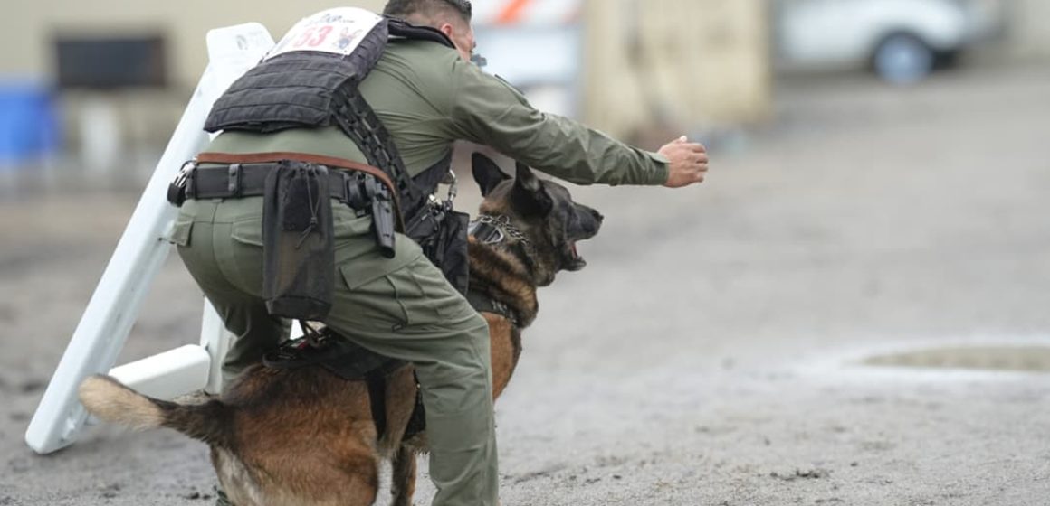 Unidad Canina de Tijuana destaca en competencia internacional en Riverside