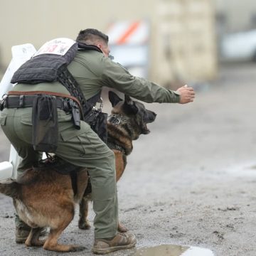 Unidad Canina de Tijuana destaca en competencia internacional en Riverside