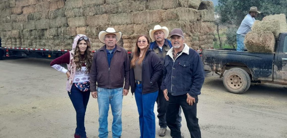 SADER BC apoya a ganaderos con subsidios en fletes ante la sequía