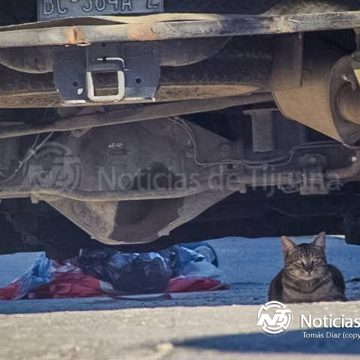 1 Vecinos de la colonia Camino Verde localizan a hombre estrangulado