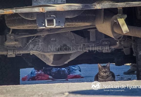 Vecinos de la colonia Camino Verde localizan a hombre estrangulado