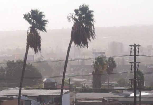 Emiten recomendaciones por fuertes vientos en Tecate