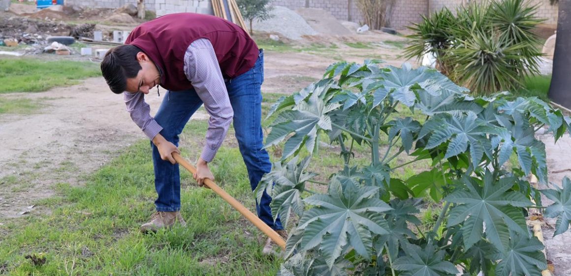 Avanza la rehabilitación del edificio del Instituto Municipal de Bienestar Animal en Tecate