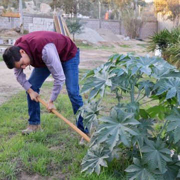Avanza la rehabilitación del edificio del Instituto Municipal de Bienestar Animal en Tecate