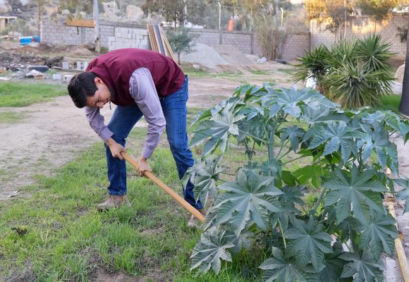 Avanza la rehabilitación del edificio del Instituto Municipal de Bienestar Animal en Tecate