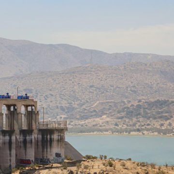 Atienden autoridades afectación a fauna acuática en la Presa Abelardo L. Rodríguez