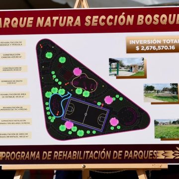fhfh Supervisa Gobierno Municipal obra de rehabilitación del Parque Natura Sección Bosques