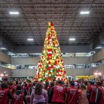 xcxz Encabeza alcalde encendido del árbol navideño 2025
