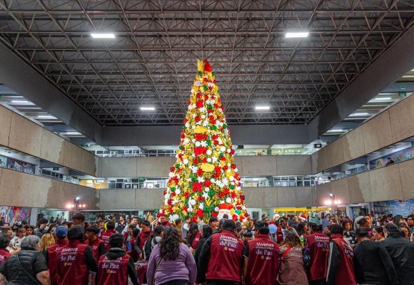Encabeza alcalde encendido del árbol navideño 2025