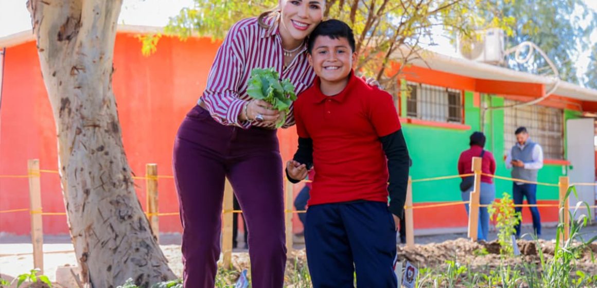 Impulsan la salud alimentaria con huertos escolares y comunitarios