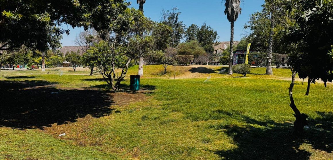 Ofrecen diversas actividades para las familias durante esta temporada vacacional