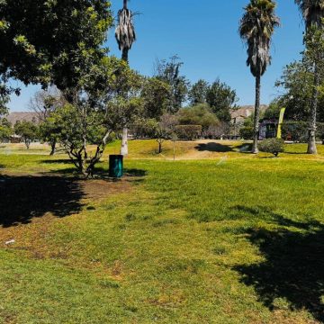 Ofrecen diversas actividades para las familias durante esta temporada vacacional