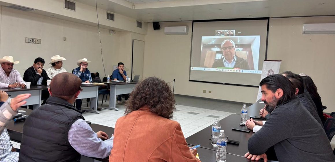 zxczx Promueven diálogo entre productores de trigo e industria para definir precio del ciclo 2025/2026