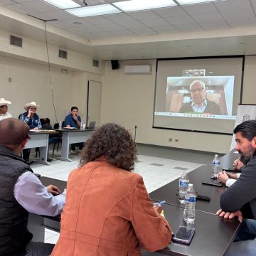 Promueven diálogo entre productores de trigo e industria para definir precio del ciclo 2025/2026