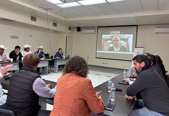 Promueven diálogo entre productores de trigo e industria para definir precio del ciclo 2025/2026