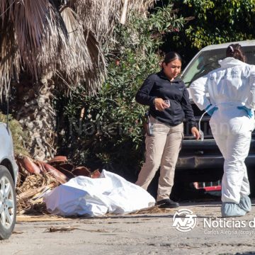 Localizan los restos de una mujer en una maleta en la “Sánchez”