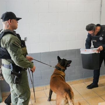 SSPCM impulsa prevención del acoso escolar en primaria