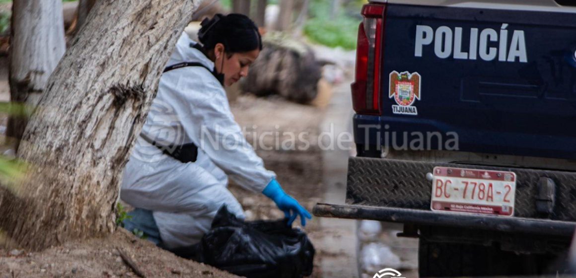 1 Vecinos localizan tres cabezas humanas en la colonia Mariano Matamoros