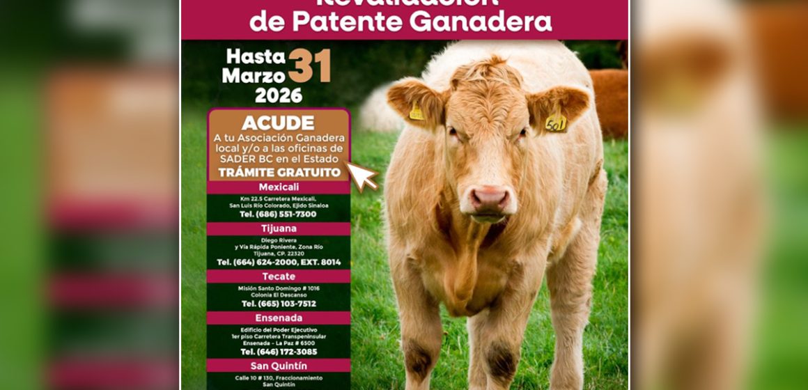 Invita SADER BC a renovar patente ganadera y comercial