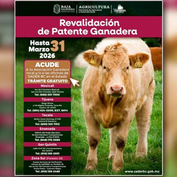 Invita SADER BC a renovar patente ganadera y comercial