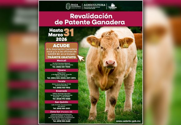 Invita SADER BC a renovar patente ganadera y comercial