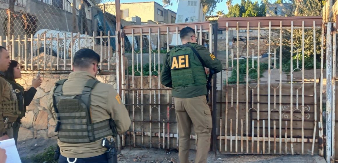 Fiscalía de Tecate rescata a tres caninos abandonados