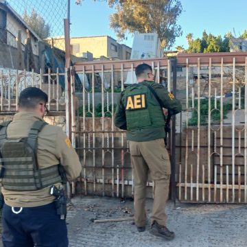 1 Fiscalía de Tecate rescata a tres caninos abandonados