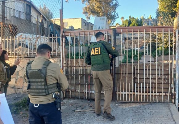 Fiscalía de Tecate rescata a tres caninos abandonados