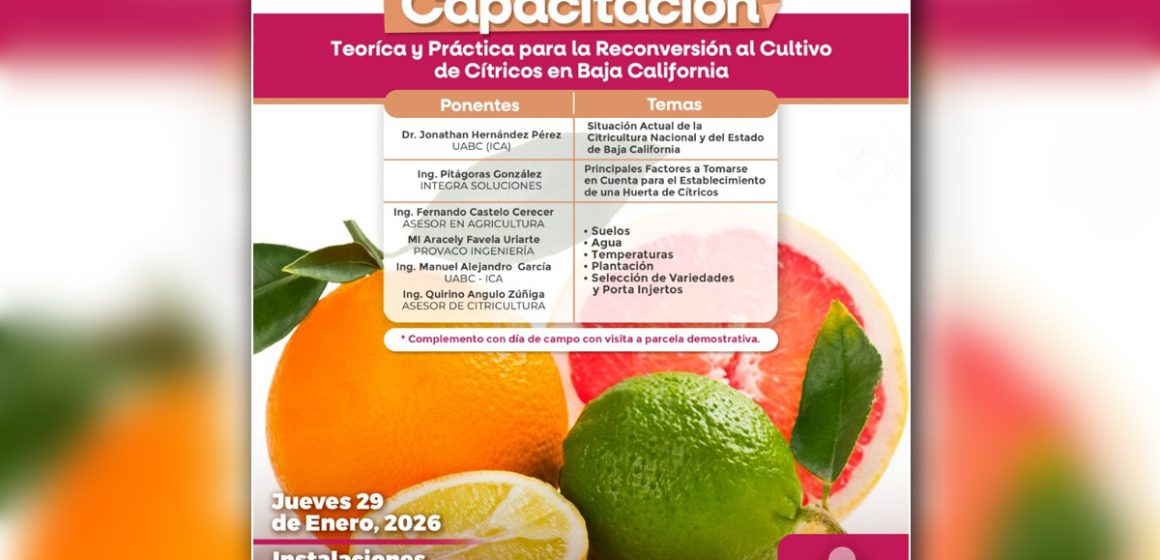 Invitan a capacitación sobre cultivo de cítricos en el Valle de Mexicali