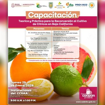 Invitan a capacitación sobre cultivo de cítricos en el Valle de Mexicali