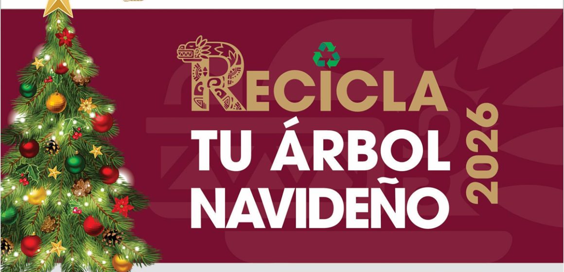Habilitan centros de acopio para árboles de Navidad