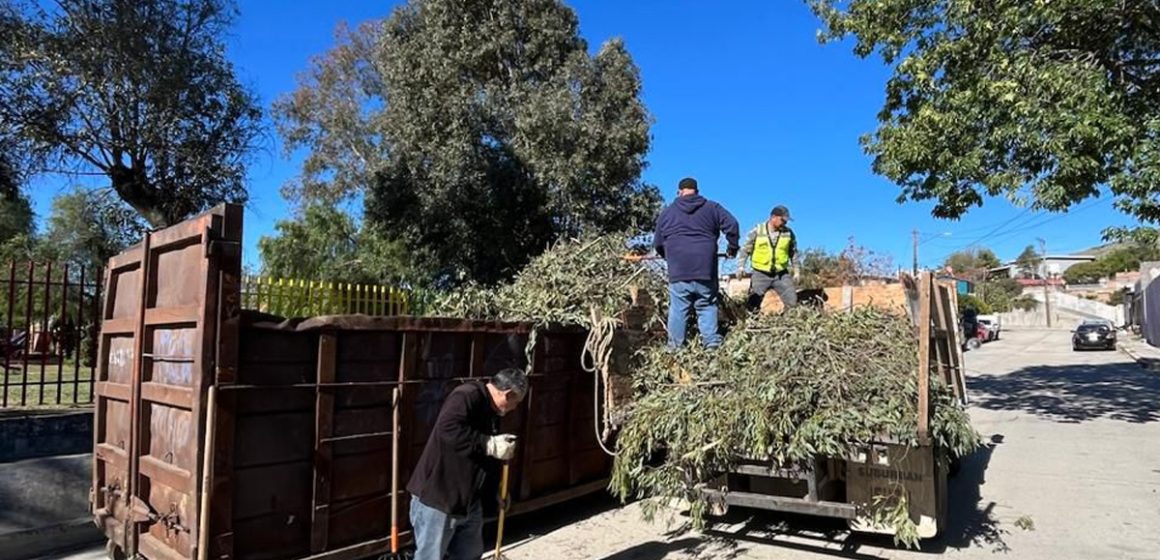 Alerta preventiva en Tecate por condición Santa Ana