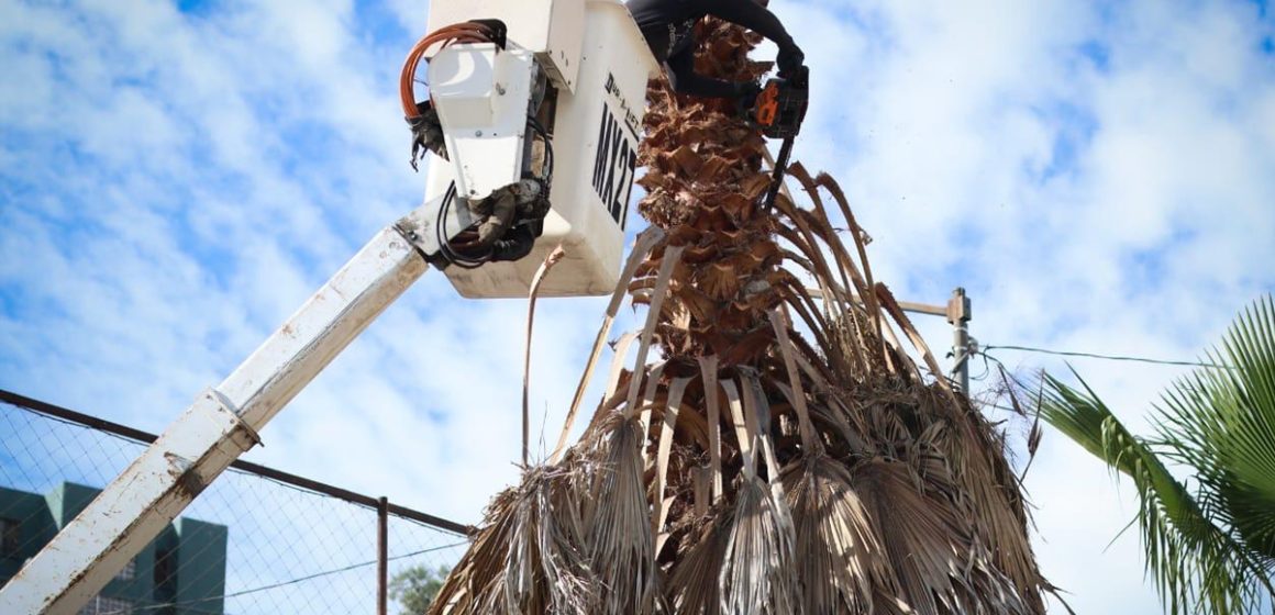 3 Jornadas de limpieza en colonias de Otay Centenario y La Mesa