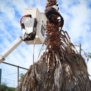 3 Jornadas de limpieza en colonias de Otay Centenario y La Mesa