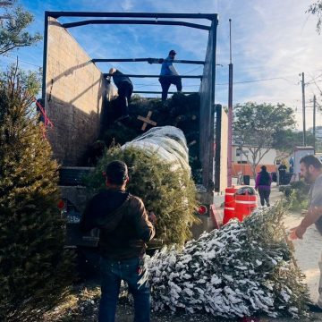Recaban más de 2 mil árboles en campaña de reciclaje