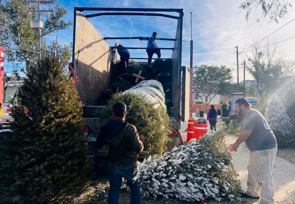 Recaban más de 2 mil árboles en campaña de reciclaje