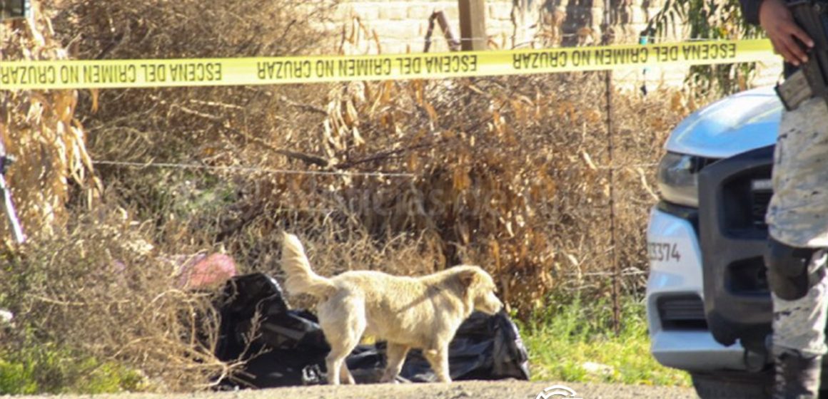 4 Localizan cuerpo sin vida con mensaje amenazante en Valle San Pedro