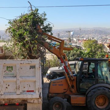 7 Recolectan más de 62 toneladas de basura en colonias de Tijuana
