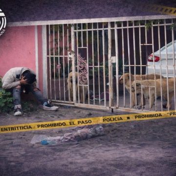 Ataque de perros deja gravemente herido a niño de 4 años en Tijuana