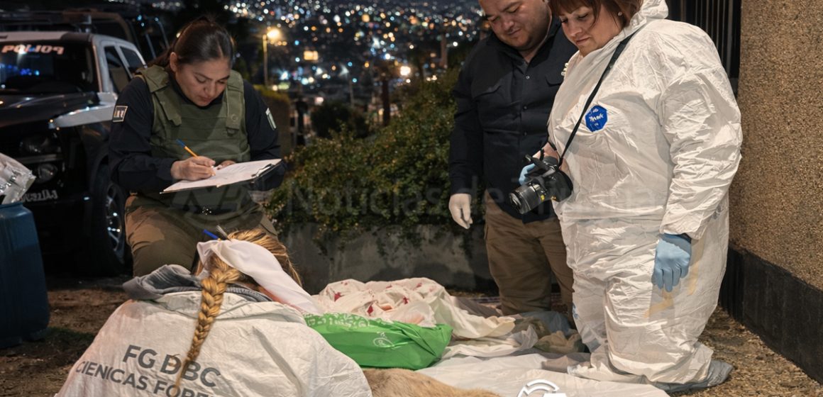 eee Fiscalía cateó vivienda en Villas del Sol por muerte de perrita; rescatan a varios cachorros