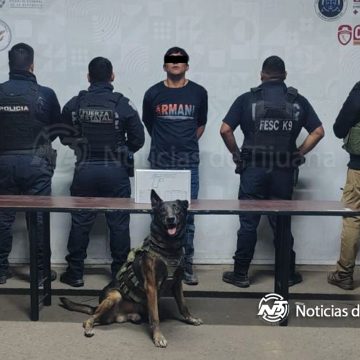 Libera agente canino a mujer que era rehén de su hijo en Mexicali